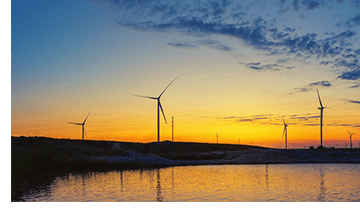 Explaining the exponential growth of renewable energy