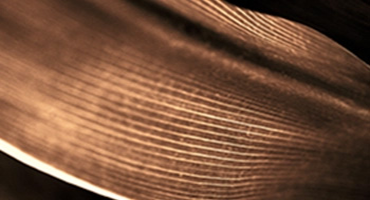 Why is copper the future?